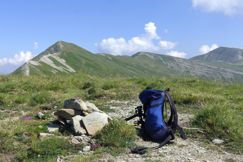 Monte Doro e Cima della Laghetta, le orchidee e i loro ambienti - luglio 2025.